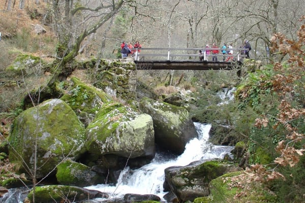 Foto 69 da atividade Galeria de Fotos