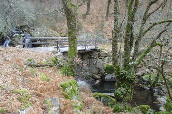 Foto 31 da atividade Galeria de Fotos