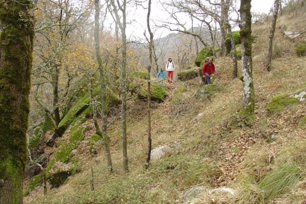 Foto 24 da atividade Galeria de Fotos