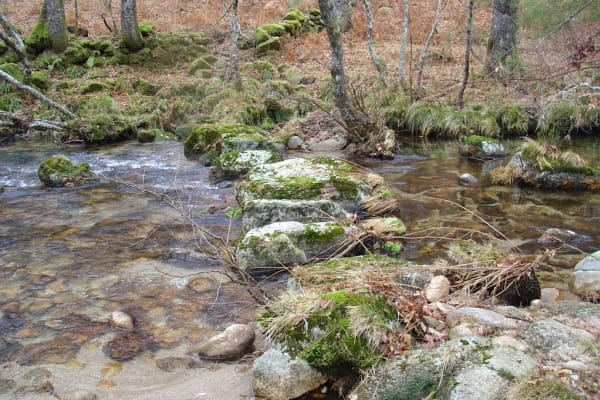 Foto 16 da atividade Galeria de Fotos