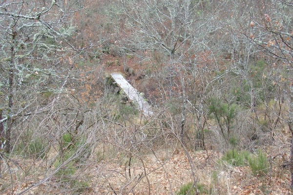 Foto 11 da atividade Galeria de Fotos