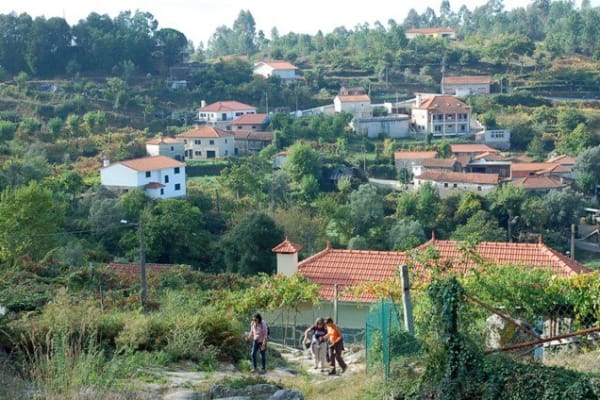 Foto 140 da atividade Galeria de Fotos