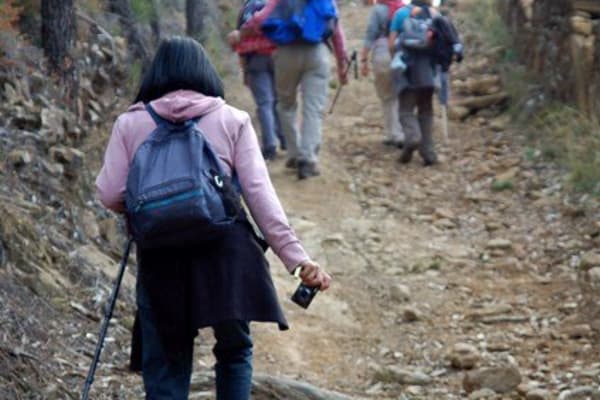 Foto 132 da atividade Galeria de Fotos