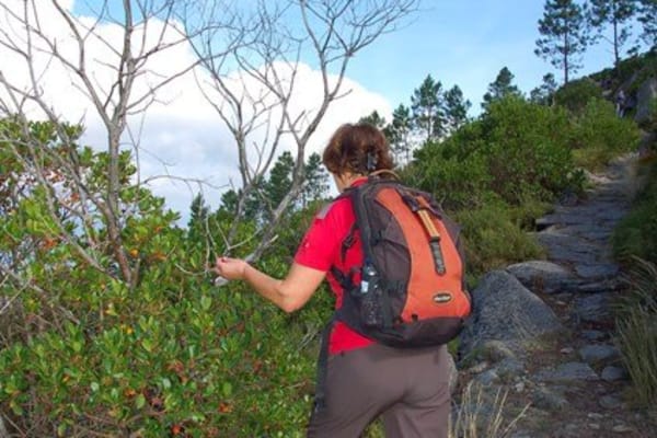 Foto 120 da atividade Galeria de Fotos