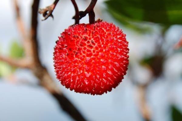 Foto 123 da atividade Galeria de Fotos