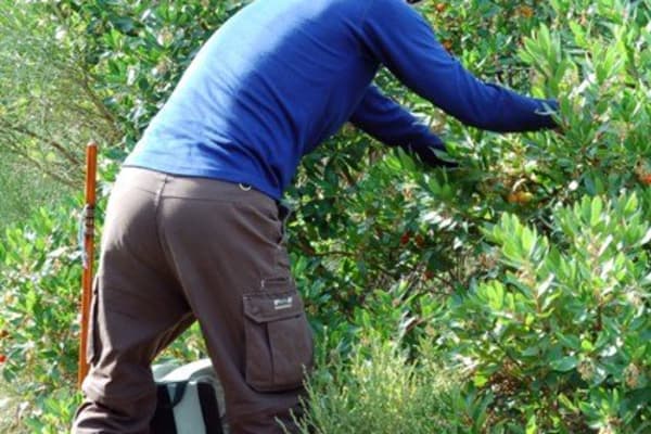 Foto 115 da atividade Galeria de Fotos