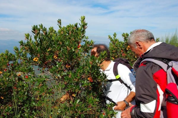 Foto 108 da atividade Galeria de Fotos