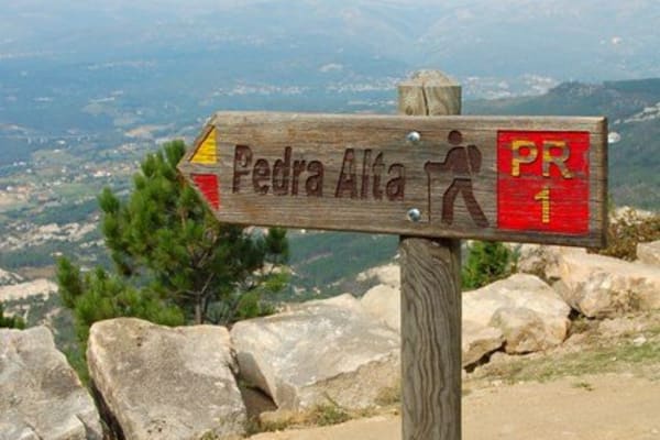 Foto 104 da atividade Galeria de Fotos