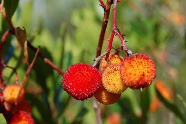 Foto 98 da atividade Galeria de Fotos