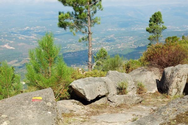 Foto 89 da atividade Galeria de Fotos