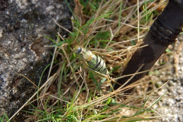 Foto 81 da atividade Galeria de Fotos