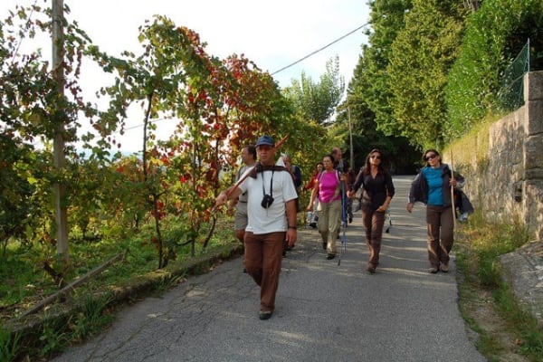 Foto 14 da atividade Galeria de Fotos