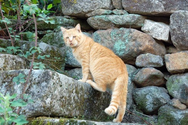 Foto 13 da atividade Galeria de Fotos