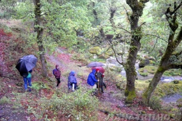 Foto 117 da atividade Galeria de Fotos