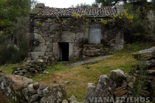 Foto 97 da atividade Galeria de Fotos