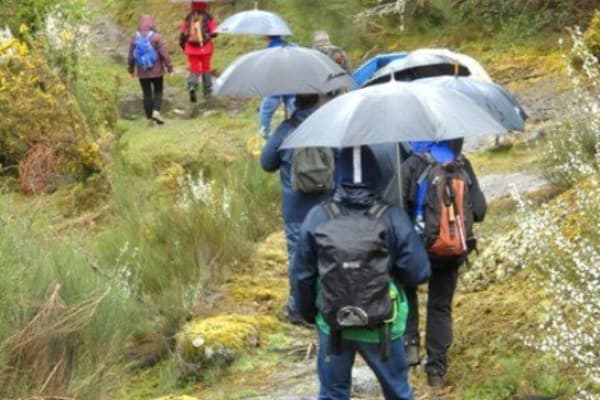 Foto 95 da atividade Galeria de Fotos