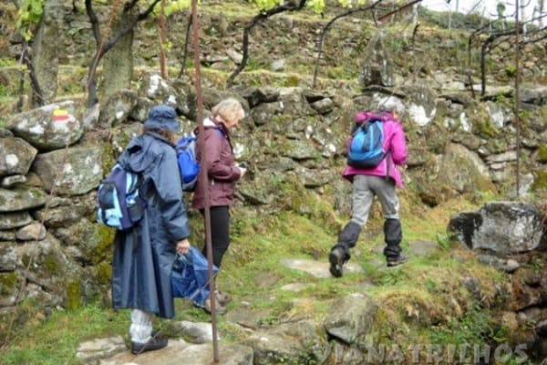 Foto 83 da atividade Galeria de Fotos