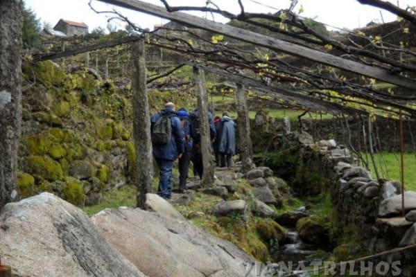 Foto 80 da atividade Galeria de Fotos