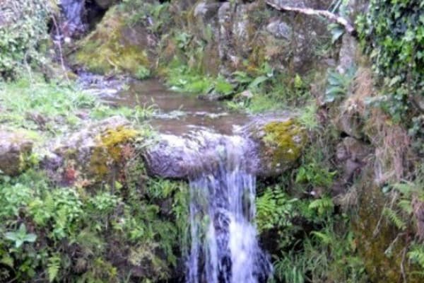 Foto 70 da atividade Galeria de Fotos