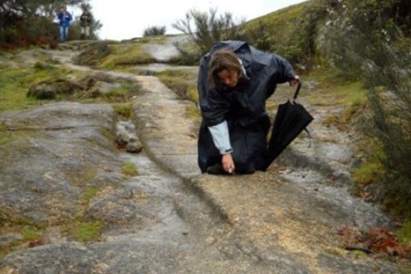 Foto 64 da atividade Galeria de Fotos