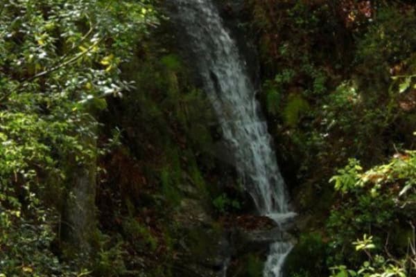 Foto 51 da atividade Galeria de Fotos