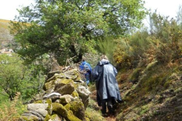 Foto 40 da atividade Galeria de Fotos