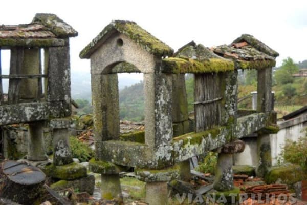 Foto 36 da atividade Galeria de Fotos