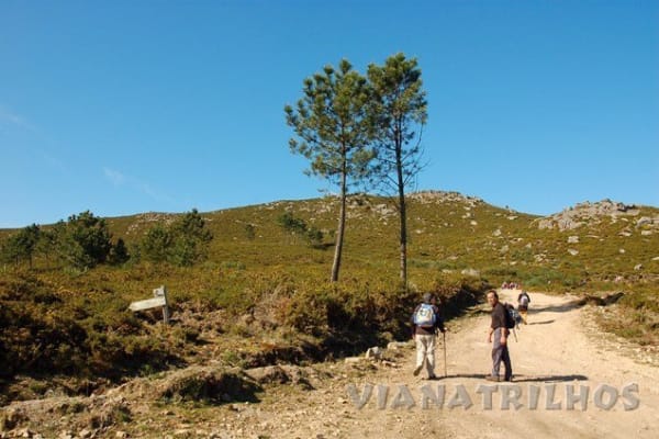 Foto 96 da atividade Galeria de Fotos