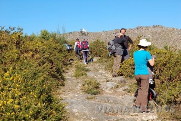 Foto 81 da atividade Galeria de Fotos