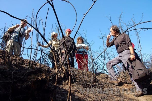 Foto 79 da atividade Galeria de Fotos