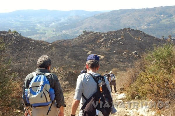 Foto 64 da atividade Galeria de Fotos