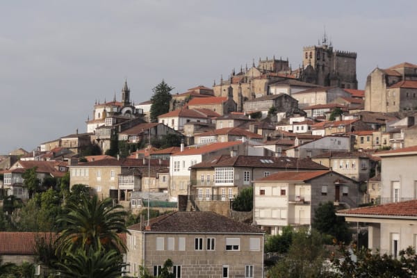 Foto 100 da atividade Galeria de Fotos