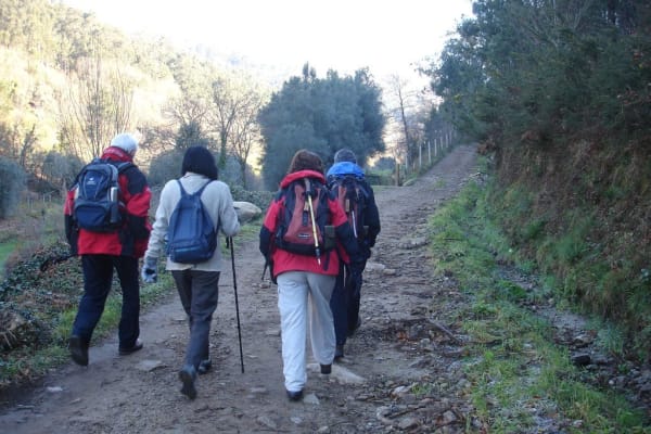 Foto 72 da atividade Galeria de Fotos