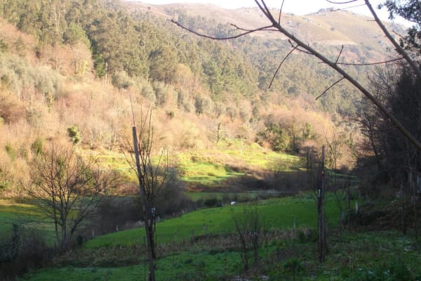 Foto 70 da atividade Galeria de Fotos