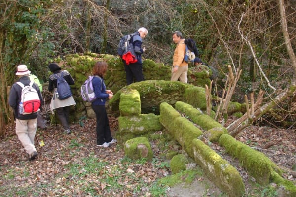 Foto 66 da atividade Galeria de Fotos