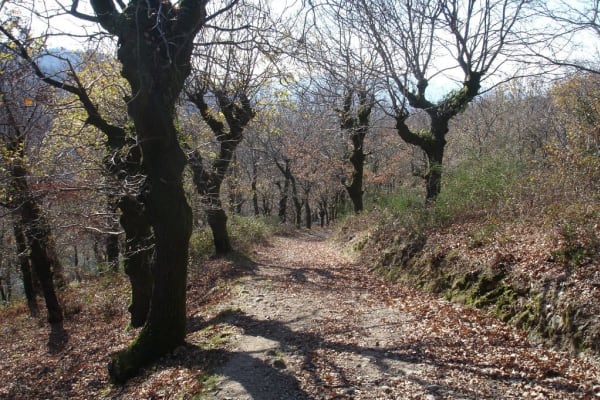 Foto 64 da atividade Galeria de Fotos