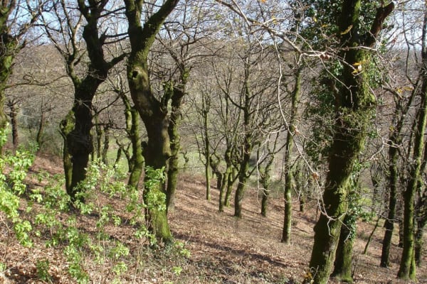 Foto 65 da atividade Galeria de Fotos