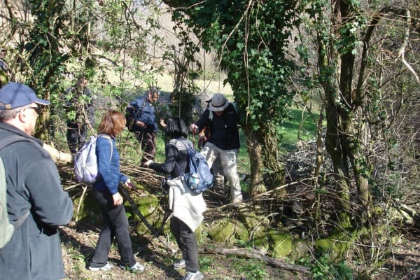 Foto 55 da atividade Galeria de Fotos