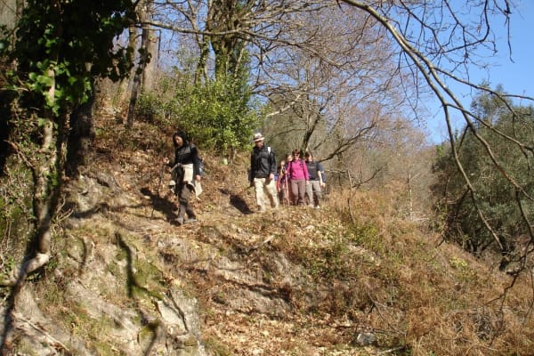 Foto 52 da atividade Galeria de Fotos