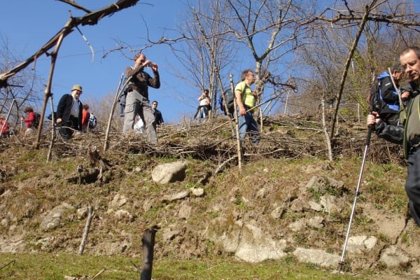 Foto 46 da atividade Galeria de Fotos