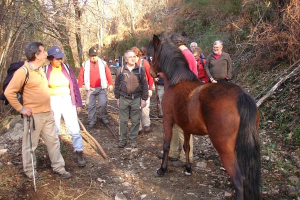 Foto 47 da atividade Galeria de Fotos