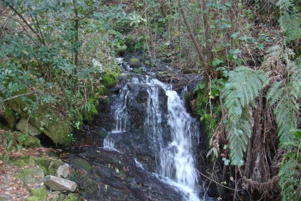 Foto 40 da atividade Galeria de Fotos