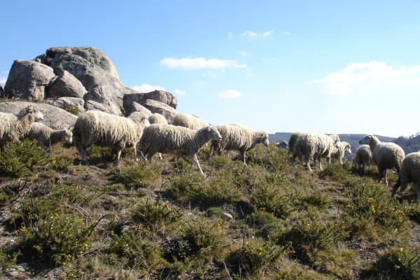 Foto 31 da atividade Galeria de Fotos