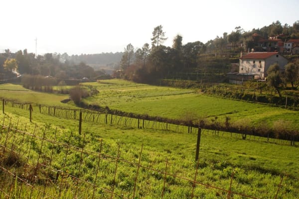 Foto 33 da atividade Galeria de Fotos