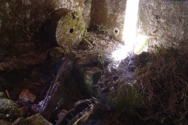 Foto 112 da atividade Galeria de Fotos