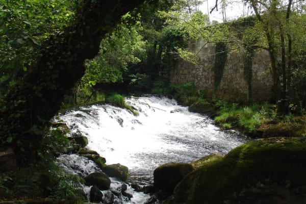 Foto 75 da atividade Galeria de Fotos