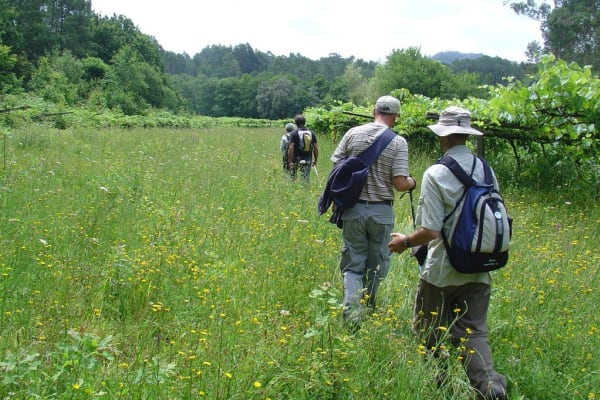 Foto 65 da atividade Galeria de Fotos