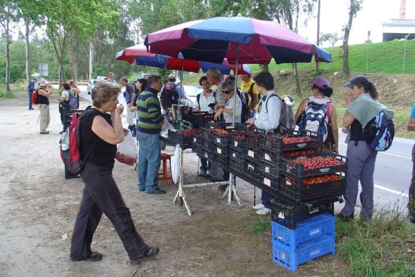 Foto 61 da atividade Galeria de Fotos