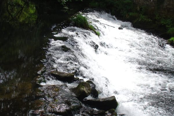 Foto 55 da atividade Galeria de Fotos