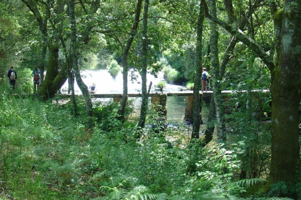 Foto 49 da atividade Galeria de Fotos